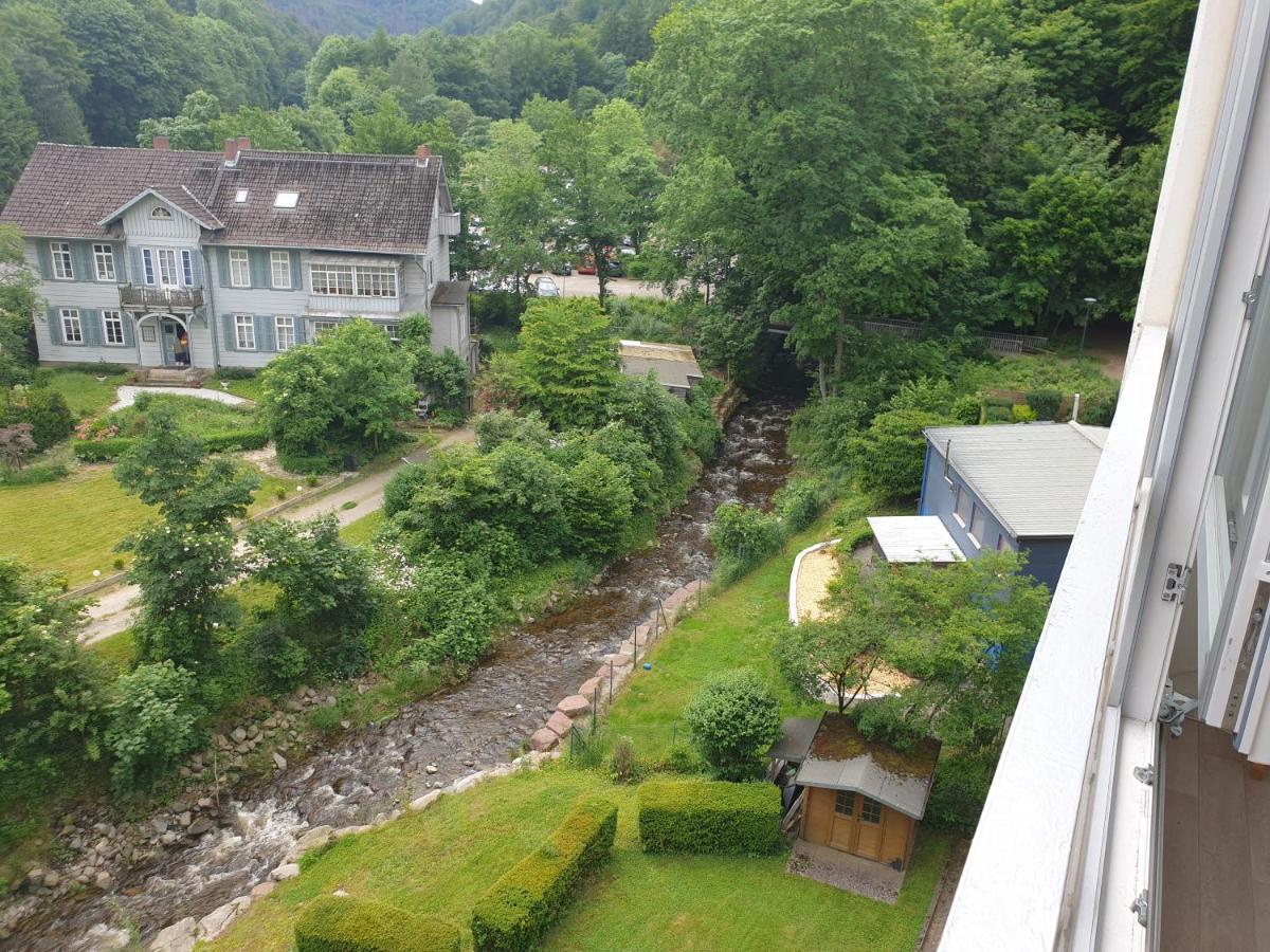 Apartz - Bad Harzburg - Apartment Mit Sauna In Idealer Lage Mit Bergblick 외부 사진
