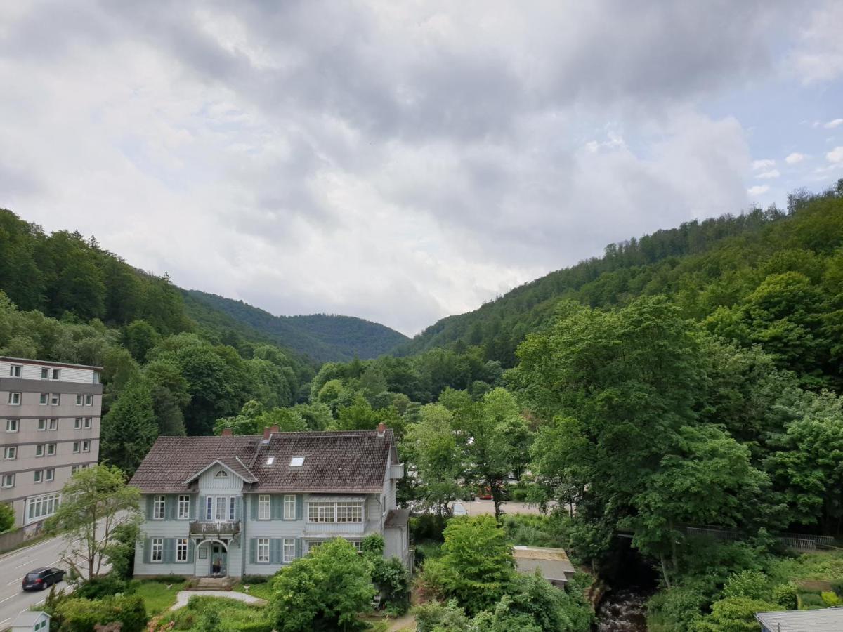 Apartz - Bad Harzburg - Apartment Mit Sauna In Idealer Lage Mit Bergblick 외부 사진